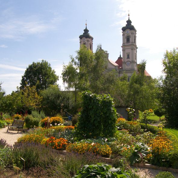 Kräutergarten mit Blick auf Basilika